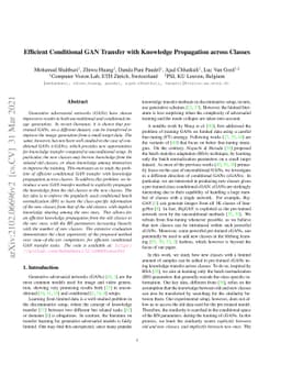 Efficient Conditional GAN Transfer with Knowledge Propagation across
  Classes