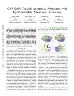 CAP-GAN: Towards Adversarial Robustness with Cycle-consistent
  Attentional Purification