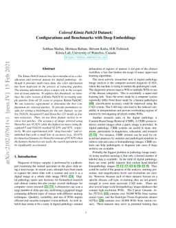 Colored Kimia Path24 Dataset: Configurations and Benchmarks with Deep
  Embeddings