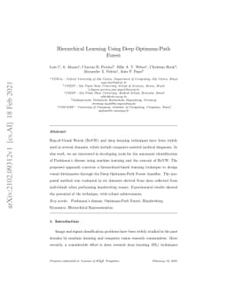 Hierarchical Learning Using Deep Optimum-Path Forest
