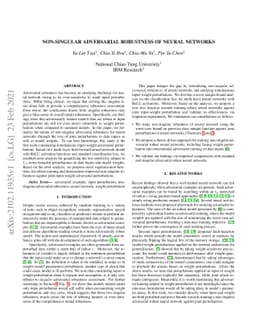 Non-Singular Adversarial Robustness of Neural Networks