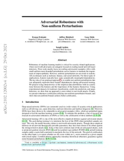 Adversarial Robustness with Non-uniform Perturbations