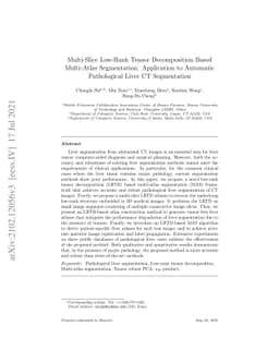 Multi-Slice Low-Rank Tensor Decomposition Based Multi-Atlas
  Segmentation: Application to Automatic Pathological Liver CT Segmentation
