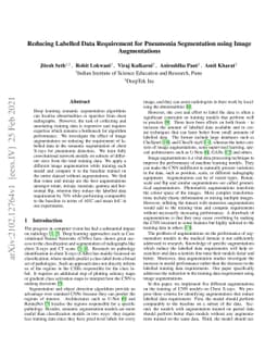 Reducing Labelled Data Requirement for Pneumonia Segmentation using
  Image Augmentations