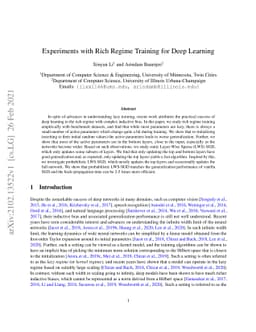 Experiments with Rich Regime Training for Deep Learning