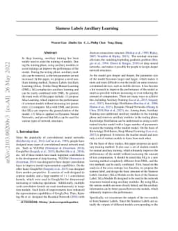 Siamese Labels Auxiliary Learning