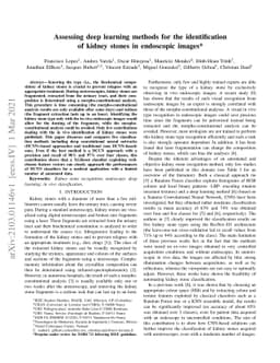 Assessing deep learning methods for the identification of kidney stones
  in endoscopic images