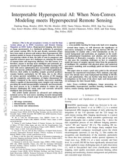 Interpretable Hyperspectral AI: When Non-Convex Modeling meets
  Hyperspectral Remote Sensing