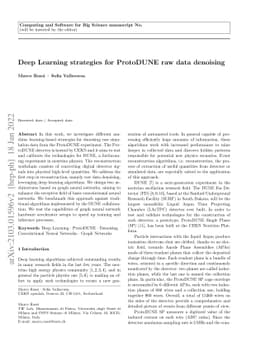 Deep Learning strategies for ProtoDUNE raw data denoising