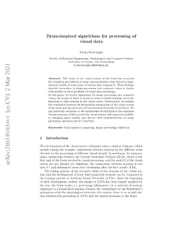 Brain-inspired algorithms for processing of visual data