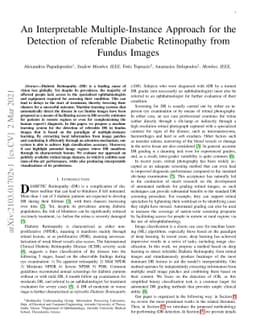 An Interpretable Multiple-Instance Approach for the Detection of
  referable Diabetic Retinopathy from Fundus Images