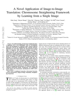 A Novel Application of Image-to-Image Translation: Chromosome
  Straightening Framework by Learning from a Single Image