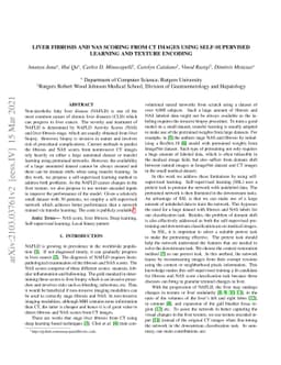 Liver Fibrosis and NAS scoring from CT images using self-supervised
  learning and texture encoding