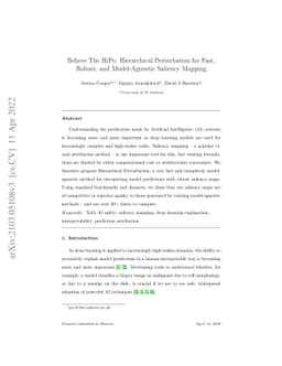 Believe The HiPe: Hierarchical Perturbation for Fast, Robust, and
  Model-Agnostic Saliency Mapping