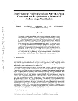 Highly Efficient Representation and Active Learning Framework and Its
  Application to Imbalanced Medical Image Classification