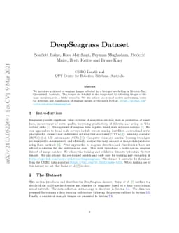 DeepSeagrass Dataset