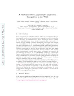 A Multi-resolution Approach to Expression Recognition in the Wild