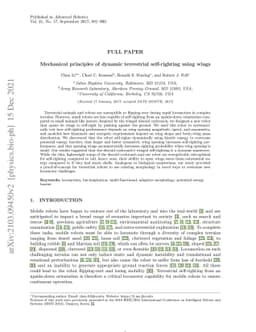 Mechanical principles of dynamic terrestrial self-righting using wings