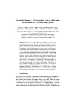 Deep Label Fusion: A 3D End-to-End Hybrid Multi-Atlas Segmentation and
  Deep Learning Pipeline