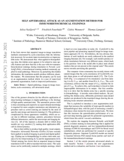 Self adversarial attack as an augmentation method for
  immunohistochemical stainings