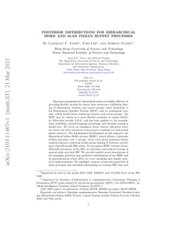 Posterior distributions for Hierarchical Spike and Slab Indian Buffet
  processes