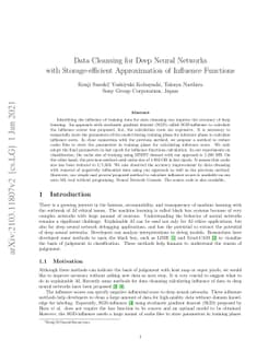 Data Cleansing for Deep Neural Networks with Storage-efficient
  Approximation of Influence Functions