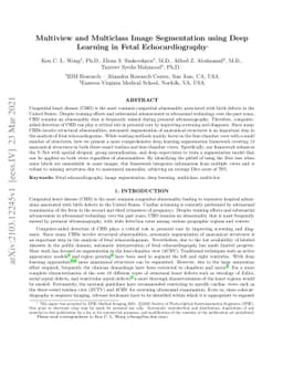Multiview and Multiclass Image Segmentation using Deep Learning in Fetal
  Echocardiography