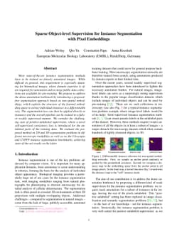 Sparse Object-level Supervision for Instance Segmentation with Pixel
  Embeddings