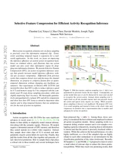 Selective Feature Compression for Efficient Activity Recognition
  Inference