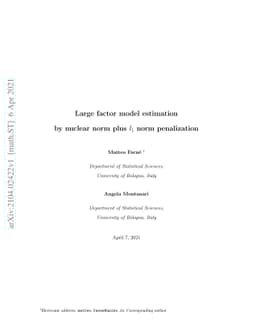 Large factor model estimation by nuclear norm plus $l_1$ norm
  penalization