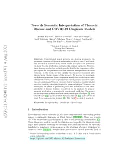Towards Semantic Interpretation of Thoracic Disease and COVID-19
  Diagnosis Models