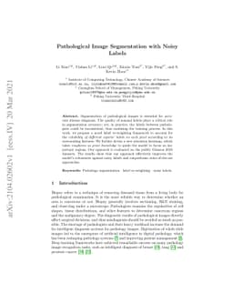 Pathological Image Segmentation with Noisy Labels