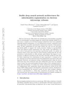 Stable deep neural network architectures for mitochondria segmentation
  on electron microscopy volumes