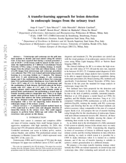 A transfer-learning approach for lesion detection in endoscopic images
  from the urinary tract