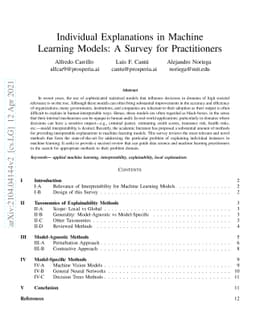 Individual Explanations in Machine Learning Models: A Survey for
  Practitioners