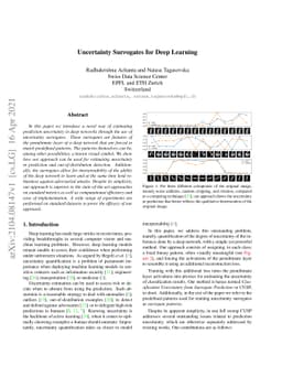 Uncertainty Surrogates for Deep Learning