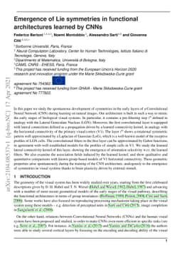 Emergence of Lie symmetries in functional architectures learned by CNNs
