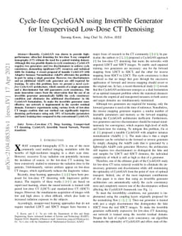 Cycle-free CycleGAN using Invertible Generator for Unsupervised Low-Dose
  CT Denoising