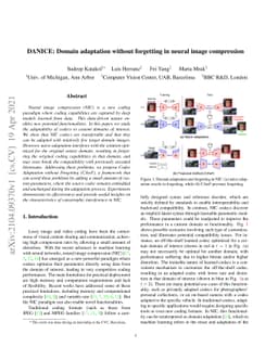 DANICE: Domain adaptation without forgetting in neural image compression