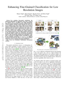 Enhancing Fine-Grained Classification for Low Resolution Images