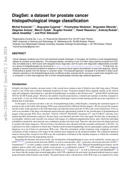 DiagSet: a dataset for prostate cancer histopathological image
  classification
