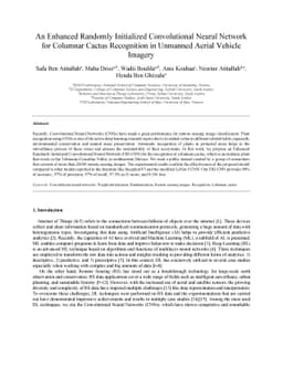 An Enhanced Randomly Initialized Convolutional Neural Network for
  Columnar Cactus Recognition in Unmanned Aerial Vehicle Imagery