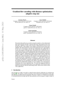 Gradient flow encoding with distance optimization adaptive step size