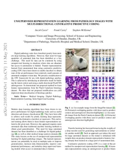 Unsupervised Representation Learning from Pathology Images with
  Multi-directional Contrastive Predictive Coding