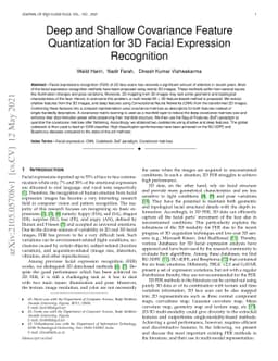 Deep and Shallow Covariance Feature Quantization for 3D Facial
  Expression Recognition