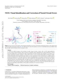 VICE: Visual Identification and Correction of Neural Circuit Errors