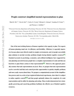 People construct simplified mental representations to plan