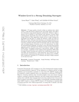 Window-Level is a Strong Denoising Surrogate