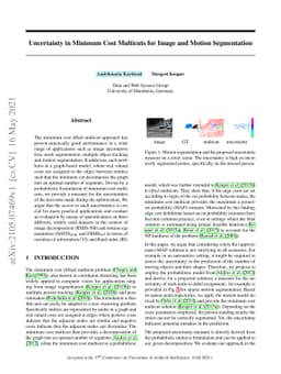 Uncertainty in Minimum Cost Multicuts for Image and Motion Segmentation