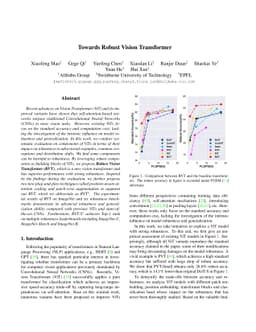 Towards Robust Vision Transformer